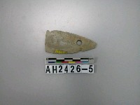 藏品(穿孔石矛)的圖片